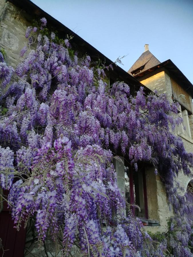 Chateau St.Gaultier Saint-Gaultier ภายนอก รูปภาพ