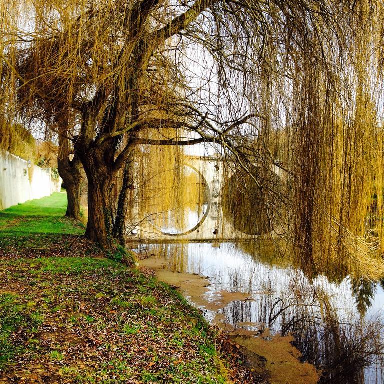 Chateau St.Gaultier Saint-Gaultier ภายนอก รูปภาพ